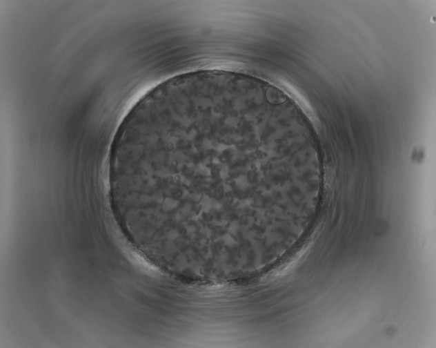 X0000094960891200711291438
