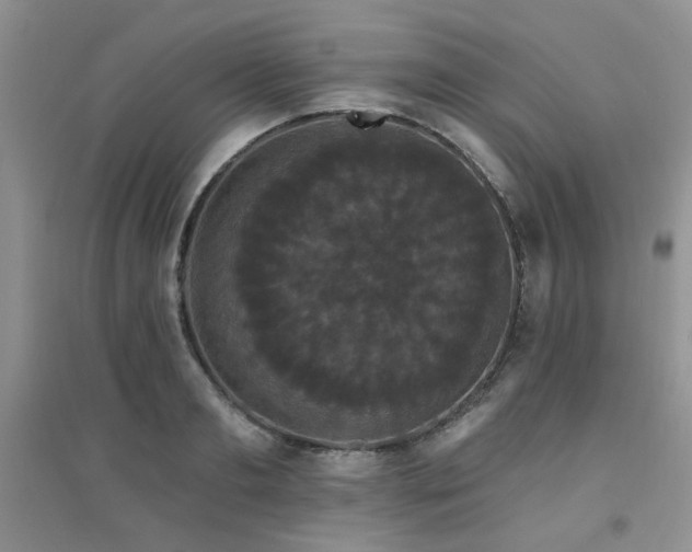 X0000094960893200711291438
