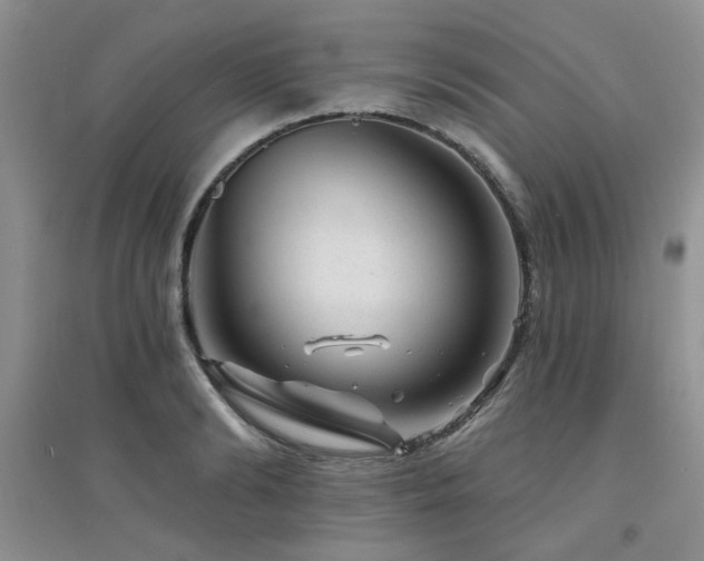 X0000094960894200711291438