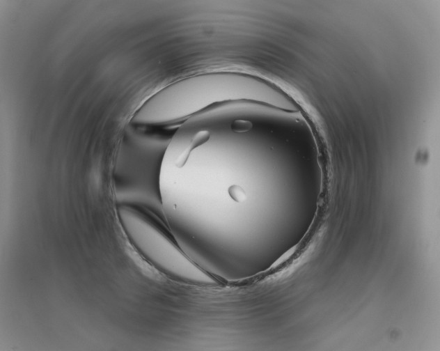 X0000094960897200711291438