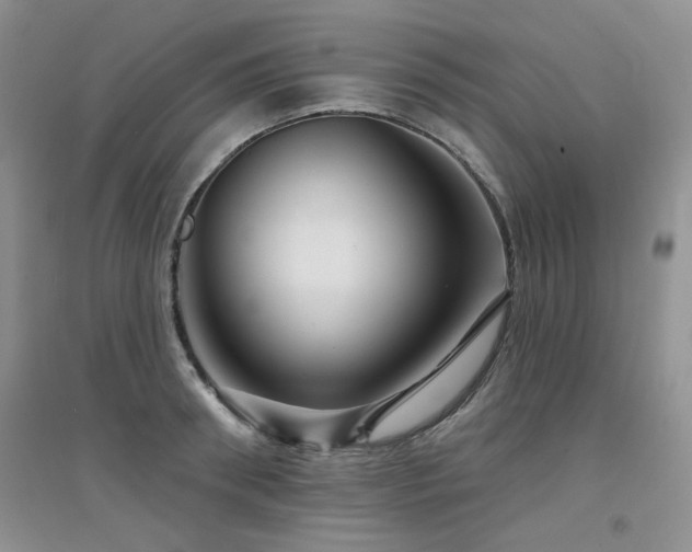 X0000094960898200711291438