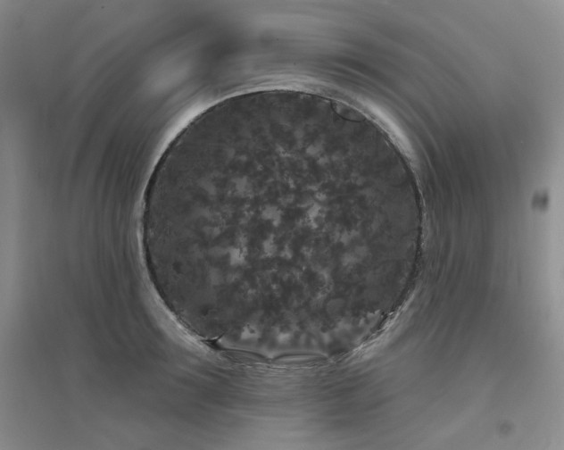 X0000094960899200711291438