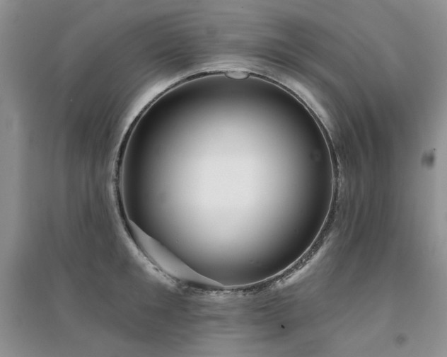 X0000094960901200711291438