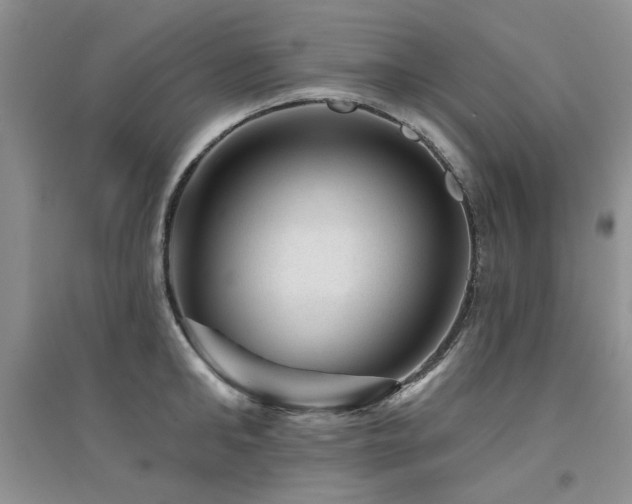 X0000094960902200711291438