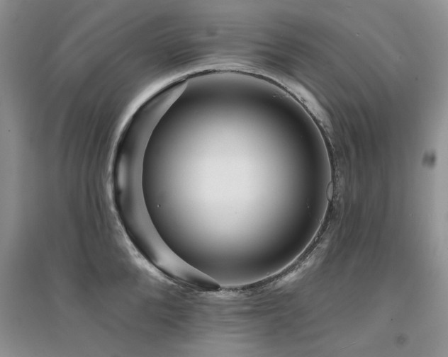 X0000094960904200711291438