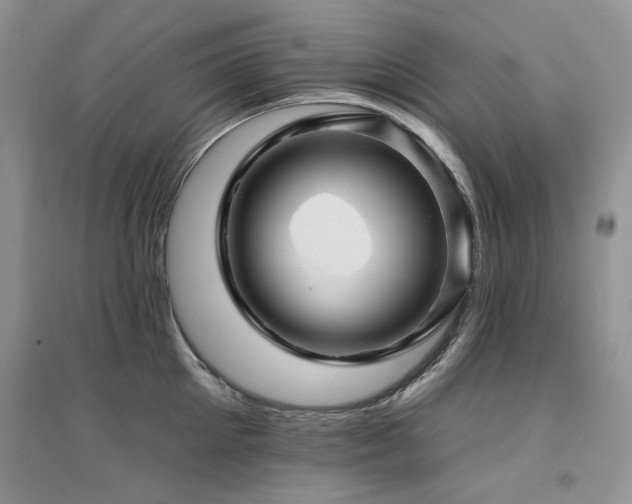 X0000094960905200711291438