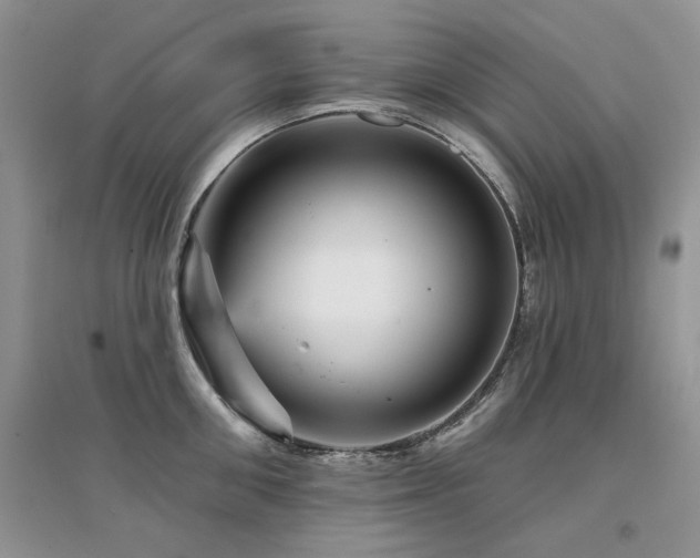 X0000094960906200711291438