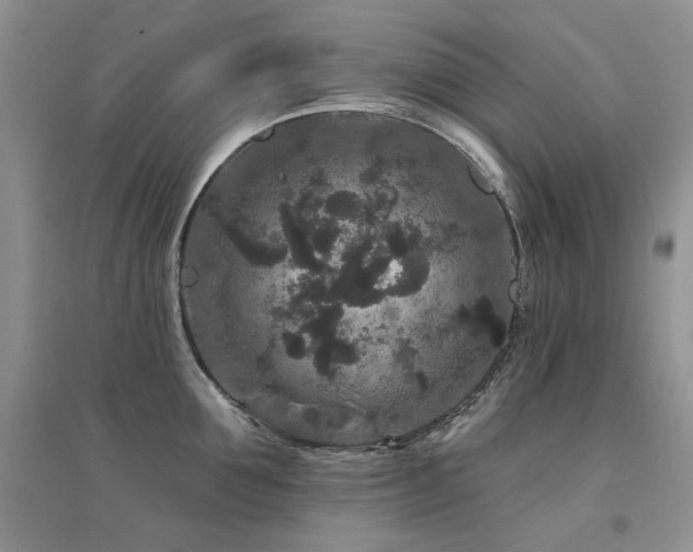 X0000094960907200711291438