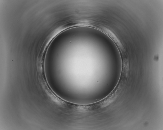 X0000094960908200711291438