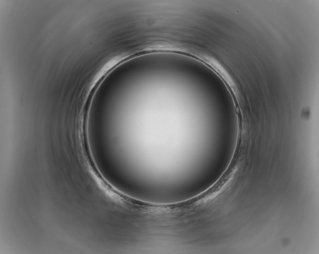 X0000094960909200711291438