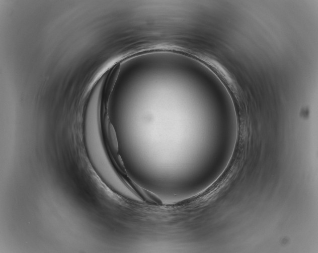 X0000094960910200711291438