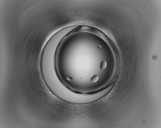 X0000094960912200711291438