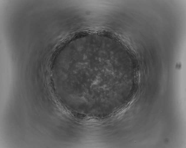 X0000094960913200711291437