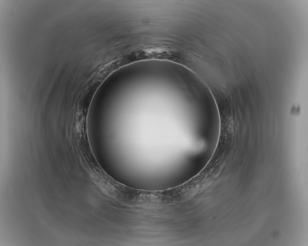 X0000094960914200711291437