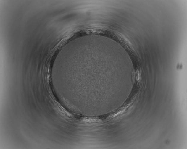 X0000094960915200711291437
