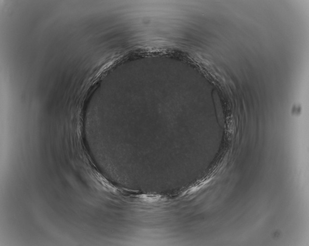 X0000094960916200711291437