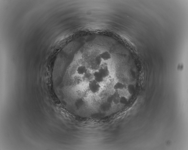 X0000094960917200711291437
