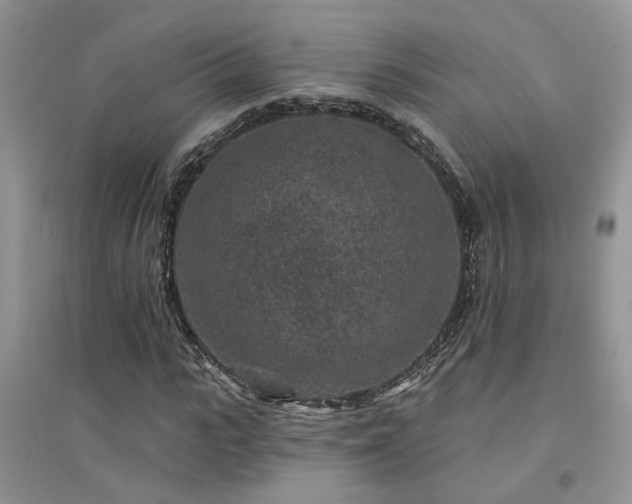 X0000094960919200711291437