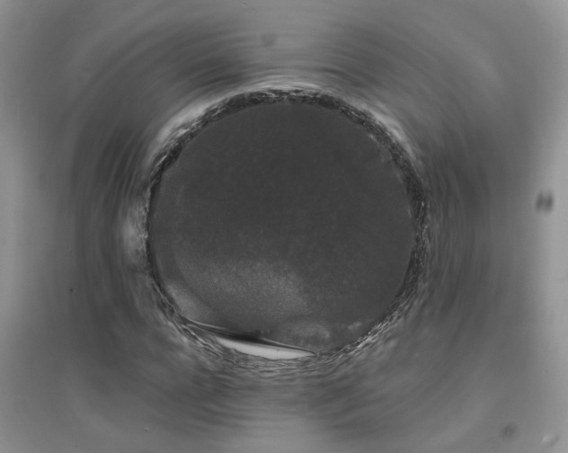 X0000094960920200711291437