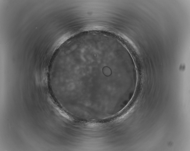 X0000094960921200711291437