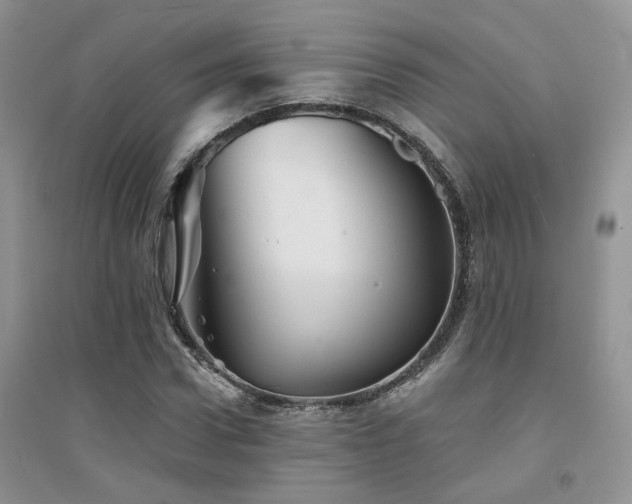 X0000094960922200711291437