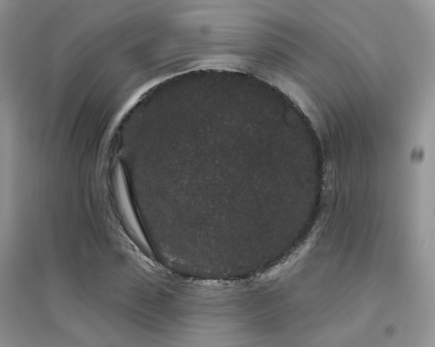 X0000094960923200711291437