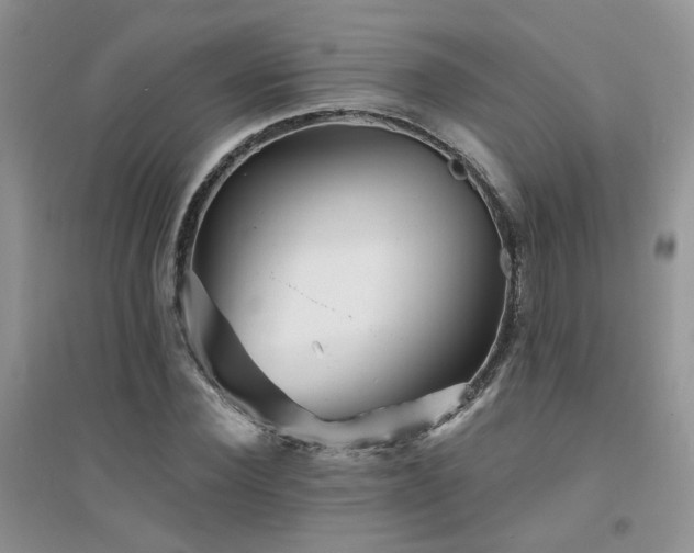 X0000094960924200711291437