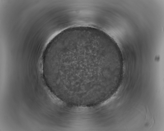 X0000094960925200711291437