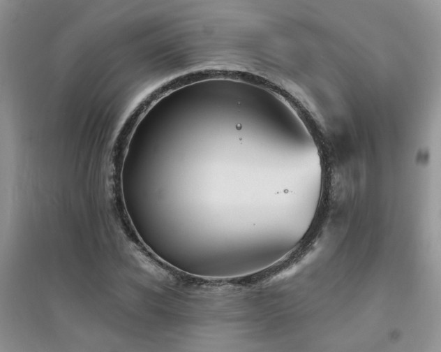 X0000094960926200711291437