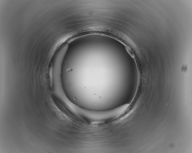 X0000094960930200711291437