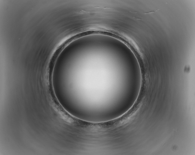 X0000094960931200711291437