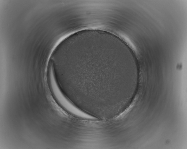 X0000094960932200711291437