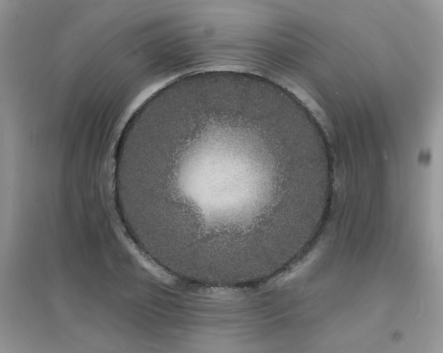 X0000094960933200711291437