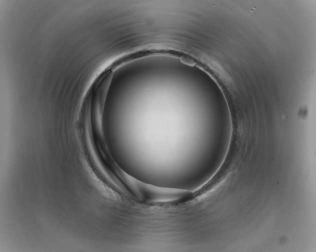 X0000094960934200711291437