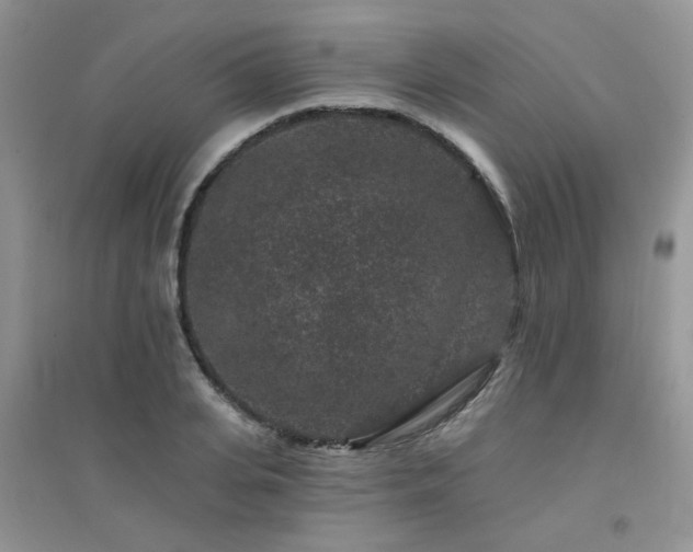 X0000094960935200711291437
