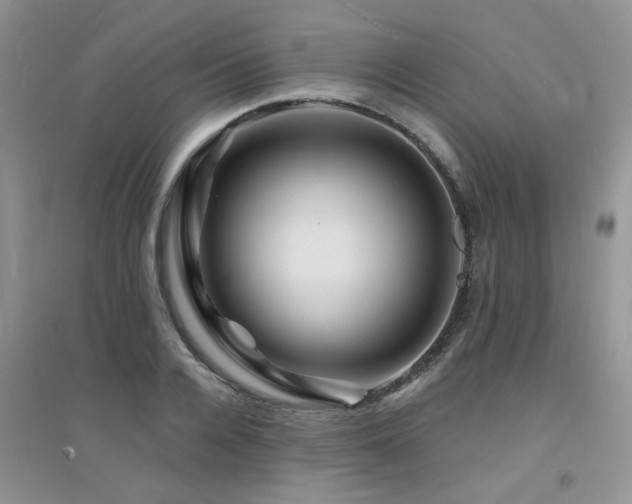 X0000094960936200711291437