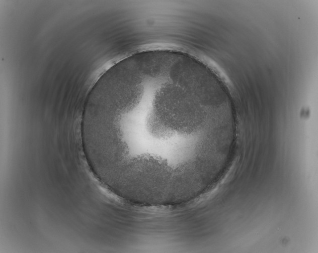 X0000094960937200711291437