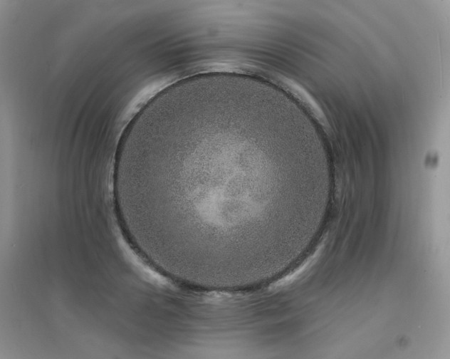 X0000094960938200711291437