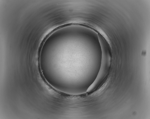 X0000094960939200711291437