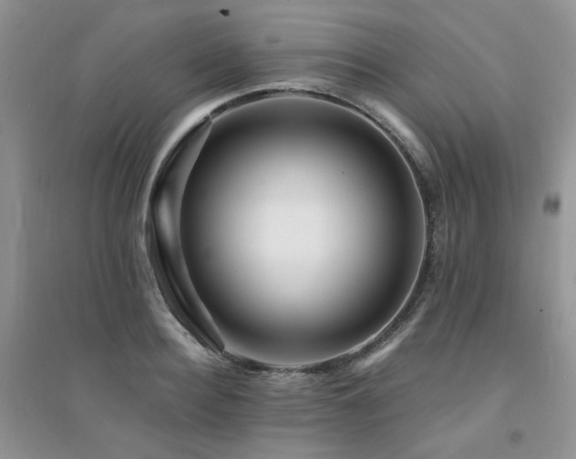 X0000094960940200711291437