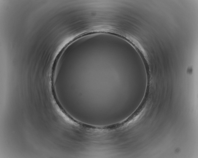X0000094960941200711291437
