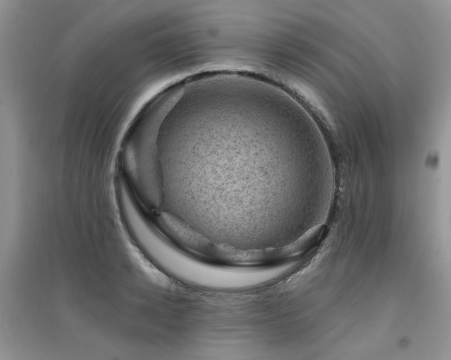 X0000094960942200711291437