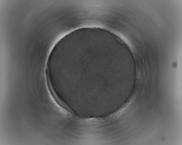 X0000094960943200711291437