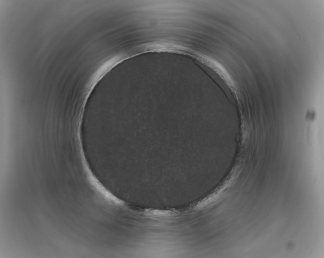 X0000094960946200711291437