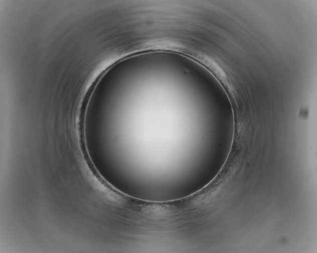 X0000094960947200711291438