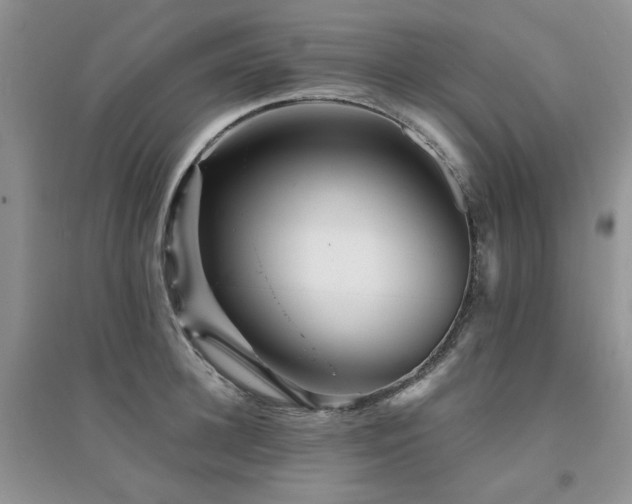 X0000094960948200711291438