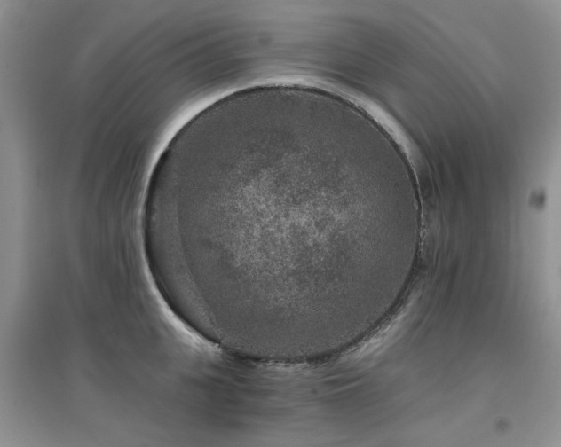 X0000094960951200711291438