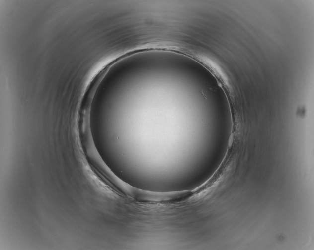 X0000094960952200711291438