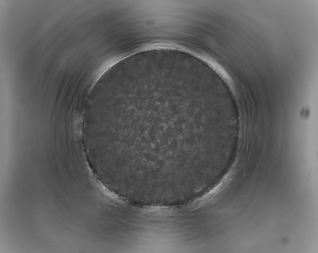 X0000094960953200711291438