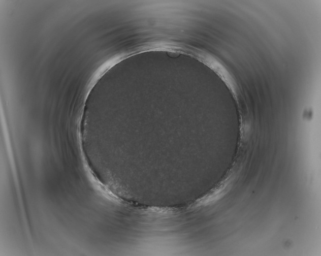 X0000094960954200711291438